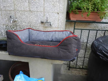 Tierschutz in Patras_Spendentransporte_37. Transport_Ankunft Spenden25.jpg