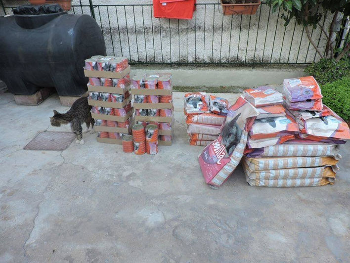 Tierschutz in Patras_Weitere Hilfe_Futterlieferung42