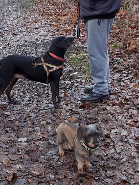 Unsere Tiere_Lotte20