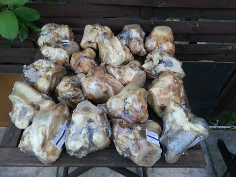 Tierschutz in Patras_Spendentransporte_14. Transport_Spendensammlung4.jpg
