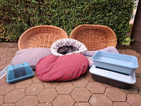 Tierschutz in Patras_Spendentransporte_91. Transport_Spendensammlung18