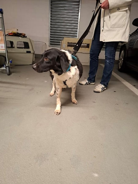 Unsere Tiere_Lenny27