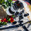 Miniatura: Leofoto MP-180S slitta micrometrica con piedi