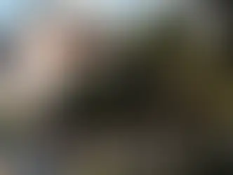 Unlock the Wonders: Essential Travel Tips for First-Time Visitors to Turkey