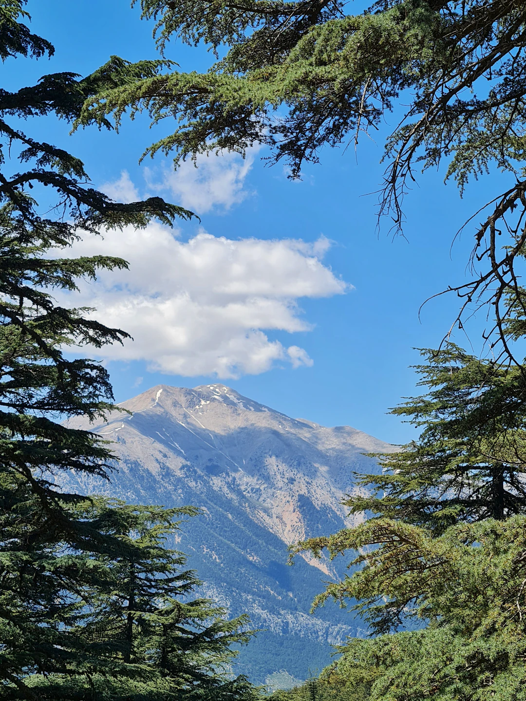 Turkey’s Breathtaking National Parks: A Nature Lover’s Guide