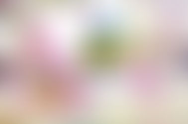 23SS　展示会を開催します＠弊社ショールーム