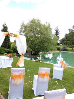 13906712_10153649503807443_4795652334485