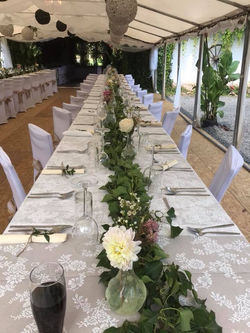 38156596_1605075499619216_79721599823406