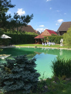 20799127_1264020187058084_79343805483462