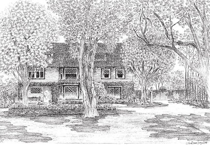 Pen & Ink Drawing - Lynn Van Dam Cooper