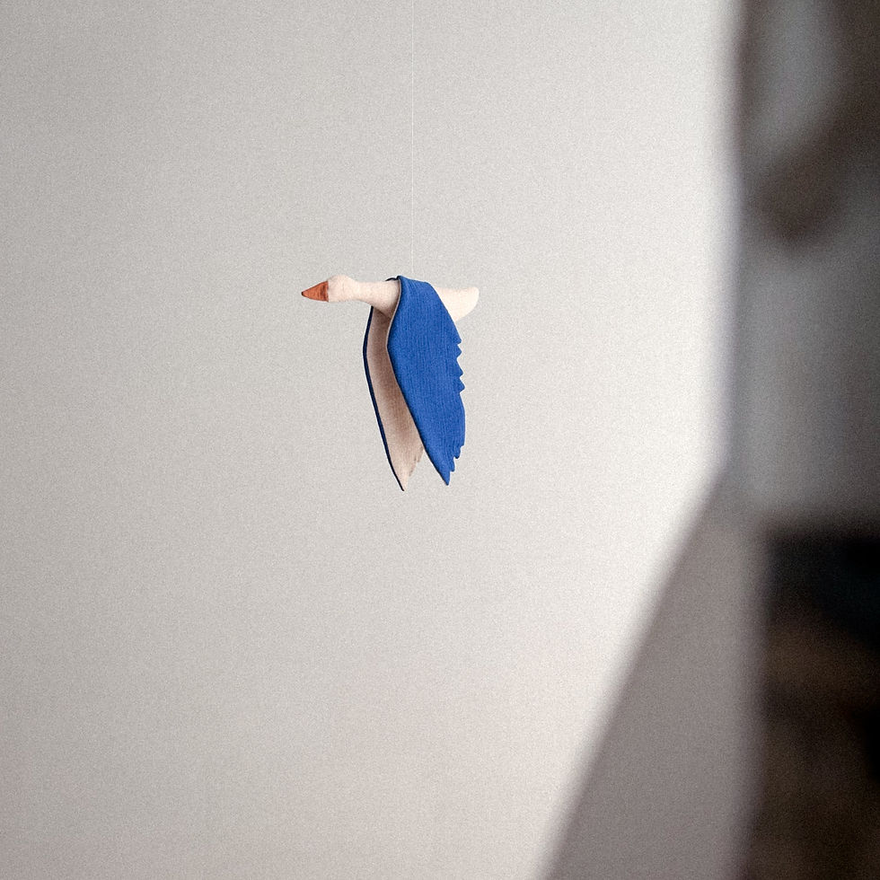 Miniatura: Oca de tela Azul