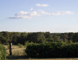 Surrounding Region I