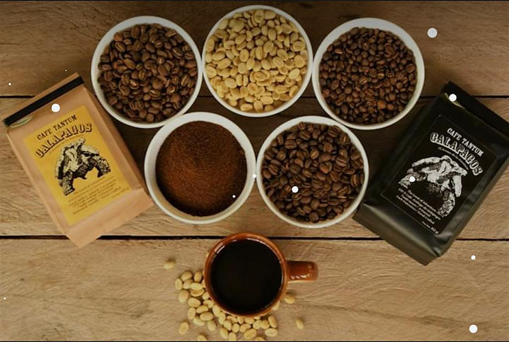 cafetal.jpeg