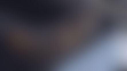 Atrapan al 'búho del terror' que aterrorizaba a poblado holandés