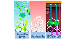 virus-based solar cells 2.jpg