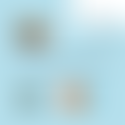 تاريخ موجز للشبكة العنكبوتية العالمية