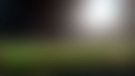 On becoming a rugby fan