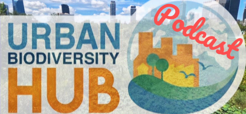 logo_ubhub_whiteborder_512px_edited_edited_edited_edited_edited_edited.jpg
