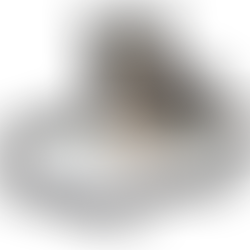 Livestock and Pet Weighing Scales