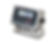 Rice Lake 380X Synergy Series Washdown Digital Indicator