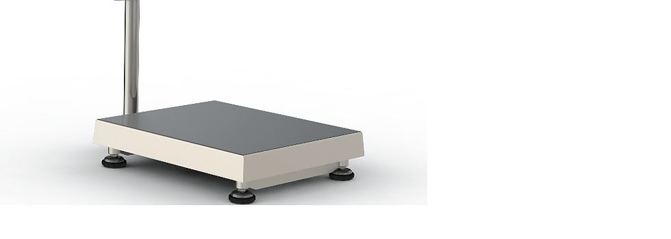 Rinstrum xg stainless steel bench scale
