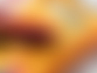 Multi Meter for testing scale load cells