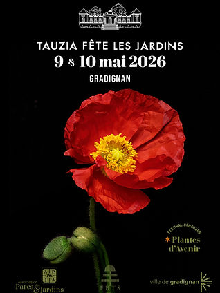 Annonce-Tauzia-Printemps-26 copie.jpg