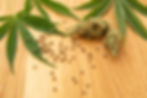 seeds.jpg