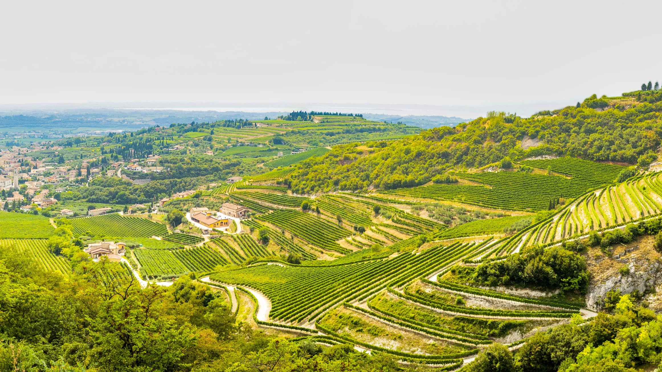 valpolicella-classico-3719-1-3.jpg.webp