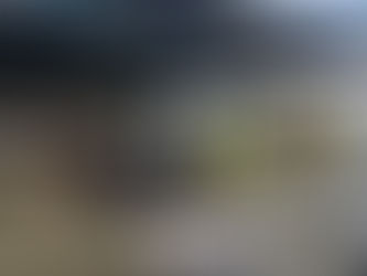 Great turnout for working bee