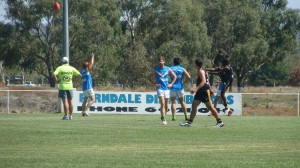 2014 v North Albury