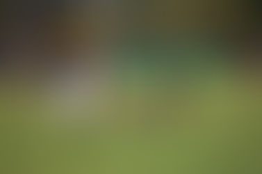 Dead pocket comes alive with help from ActewAGL