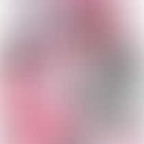 Inaugural Tigers Women’s Luncheon