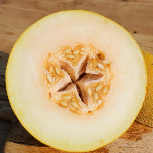 melon-ananas-1.webp