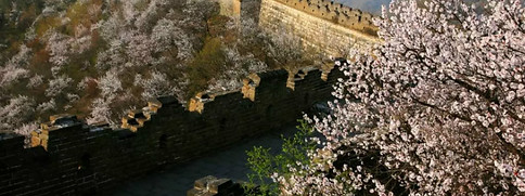 Great Wall .jpg