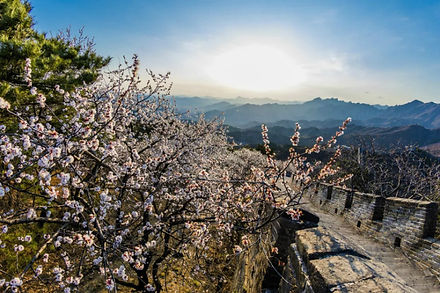 Great Wall 5.jpg
