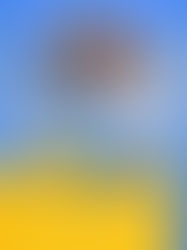 Dia Internacional da Mulher: celebrar conquistas e construir um futuro mais respeitoso