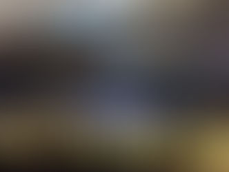 A Pitbull appearance at Skyhawk Madness