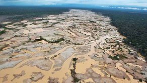 The Effects Of Deforestation In the Amazon