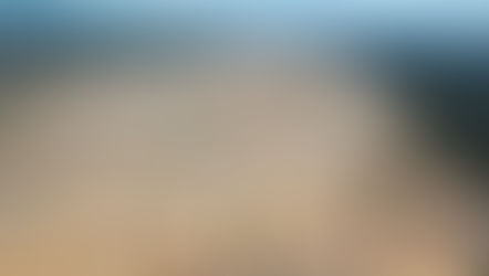 The Effects Of Deforestation In the Amazon