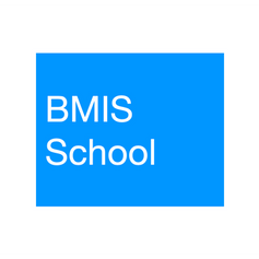BMIS.png