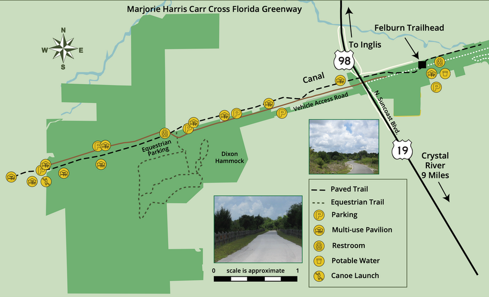 Biking the Withlacoochee Bay Trail