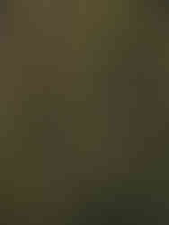 Aerial view of a lush green forest, trees and ground visible detail.