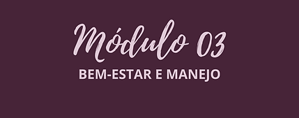EFAC GATOS SITE (4).png