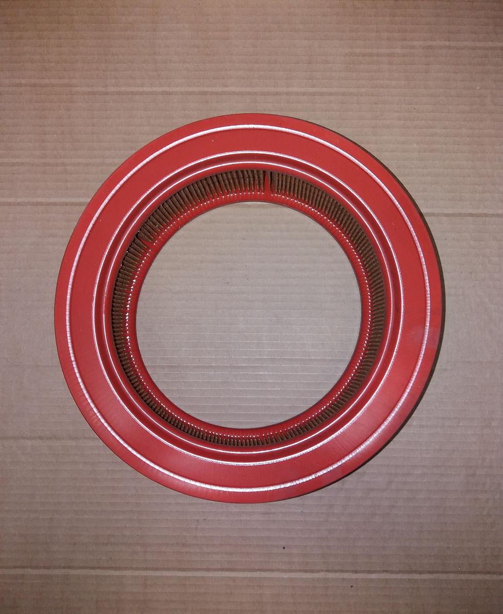 Miniatura: GFE 1003  FILTRO ARIA UNIPART  (85-7)