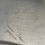Thumbnail: Honda Codone post Pantheon 4T S.L
