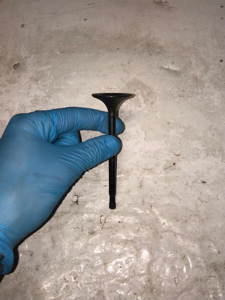 BNP 2719 VALVOLA SCARICO BRITISH LEYLAND (87-6)