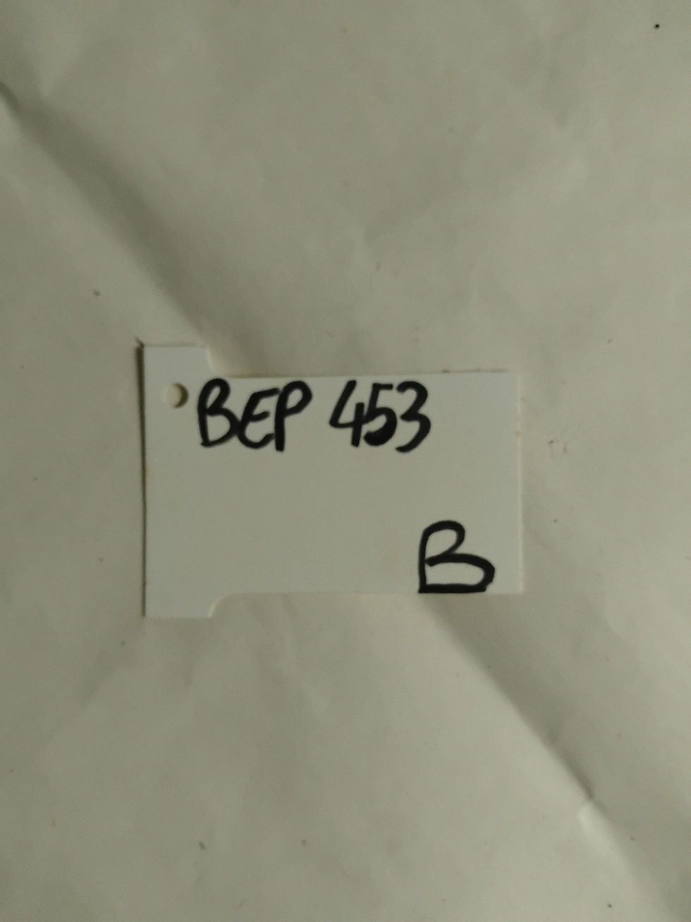 Miniatura: BEP 453 Parte anteriore inferiore, Austin Maestro (B) SC.(92)