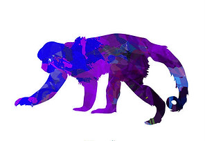 monkey.jpg