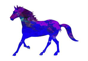 horse.jpg